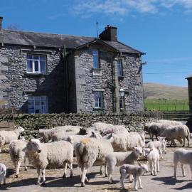 Ullathorns Farm – hotel w mieście Kirkby Lonsdale