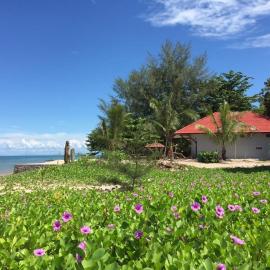 Red Coral Cottage, Hotel in Tanjung Rhu