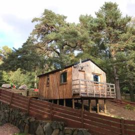 Pine Marten Bar Glenmore Treehouse、アビモアのホテル