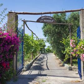 Agriturismo La Pergola, hotel Forio di Ischiában