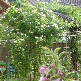 Enzkreisspitze Garten – hotel w mieście Neuenbürg