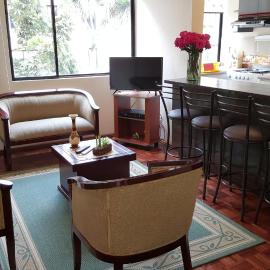 Lujoso departamento