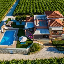 Cretan Vineyard Hill Villa