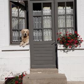 La Ferme De Tigny, hotel u gradu Tigny-Noyelle