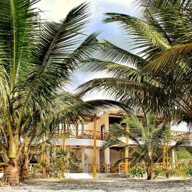 Seaside Garden Ecolodge Mompiche, hotel in Mompiche