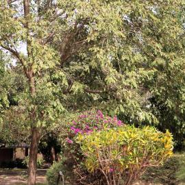 Yuna Village Garden Resort, hotel em Tubaya