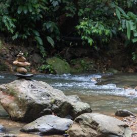 Rain Forest Guest House and Jungle Trekking