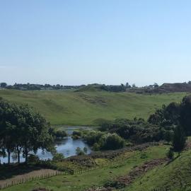 Little house on the hill, hotel in Whanganui