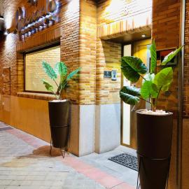 Hostal Granado, ξενοδοχείο στη Μαδρίτη