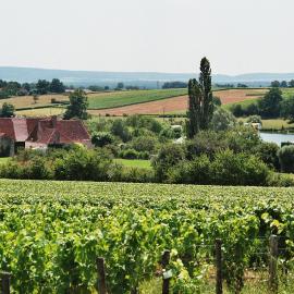 Camping Moulin de Collonge, hotel in Saint-Boil