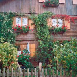 Haus Lisa Wittwer