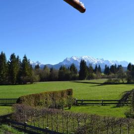 Alpenwohnung Neuner, hotel em Wallgau
