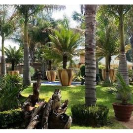 Lala Bela Guest House