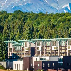 Silver Mountain