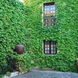 Rio NaturAL, hotel in Vila Nova de Milfontes
