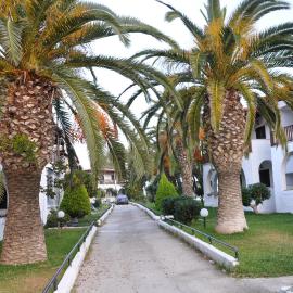 Modern Apartment 100m. from the Sea