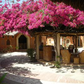 Apani Dhani Eco-Lodge, Hotel in Nawalgarh