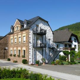 Ferienweingut Gansen Hochgenuss 2, hotel in Ernst