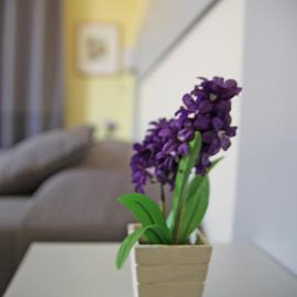 Seawall Holiday Home, hotelli kohteessa Salerno
