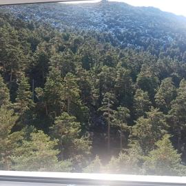 Estudio romántico en Puerto De Navacerrada