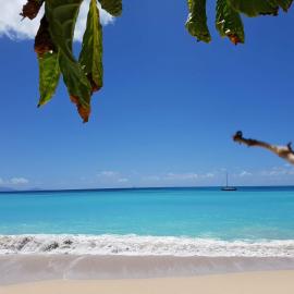 Dickenson Bay Oasis at Antigua Village, ξενοδοχείο σε Saint Johnʼs