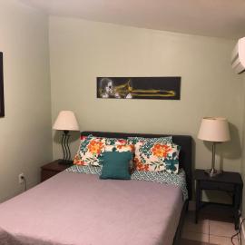 Antonine Apartment Upper Garden District