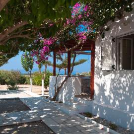 Felicia's sun-side house