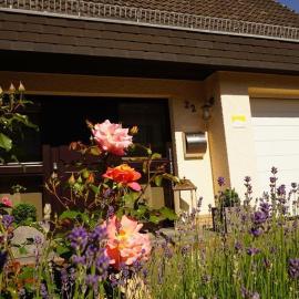 Ferienwohnung Zum Harpelstein