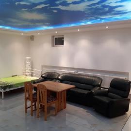 Park Puscha Sauna Deluxe Apartment & Terrace