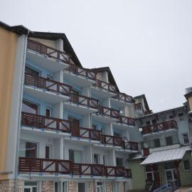 Šafrán - Dorothy 44,