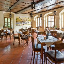 Burgschänke & Herberge Goldener Löwe, hotel in Bad Düben