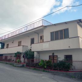Rosa di Calabria