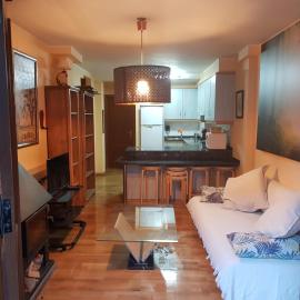 Apartamentos Nilsson, Casa Botigue, centro de Plan, hotel in Plan
