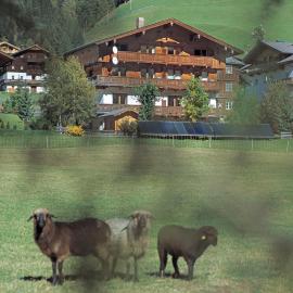 Ferienpension Senfter