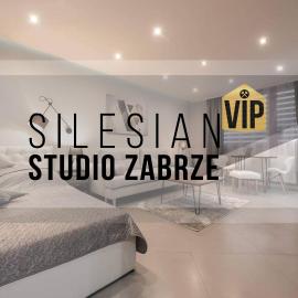 Studio Silesian Vip, hotel in Zabrze