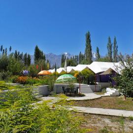 Tiger Camp Nubra
