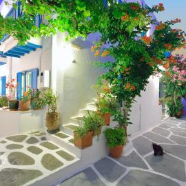 Hotel Nazos