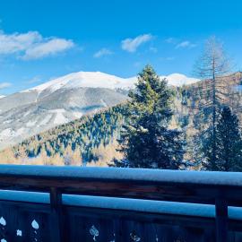 Chalet Nr. 302