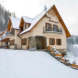 Zlote Modrzewie