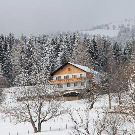 Ferienwohnung Greim, hotel in Sankt Peter am Kammersberg