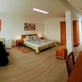 Villa Sanitas, hotelli kohteessa Techirghiol