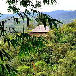 Terrabambu Lodge，明多的飯店