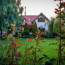 Daiconi Boutique House, хотел в Miniş