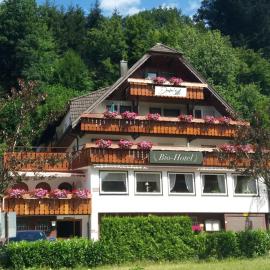 Decker's Bio Hotel zum Lamm, hotel en Baiersbronn