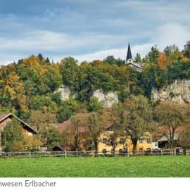 Ferienwohnung Alpenblick、クヒルのホテル