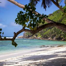 Surfers Beach Self Catering Chalets, hotel a Takamaka