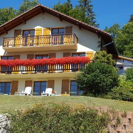 Les Hauts du Lac, hotel in Gérardmer
