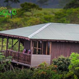Cabañas el Bosque, khách sạn ở Turrialba