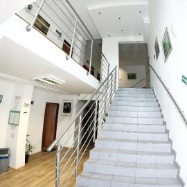 Viola, hotel em Police