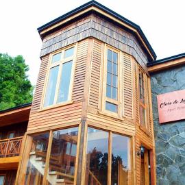 Apart Hotel Claro de Luna, hotel i Frutillar